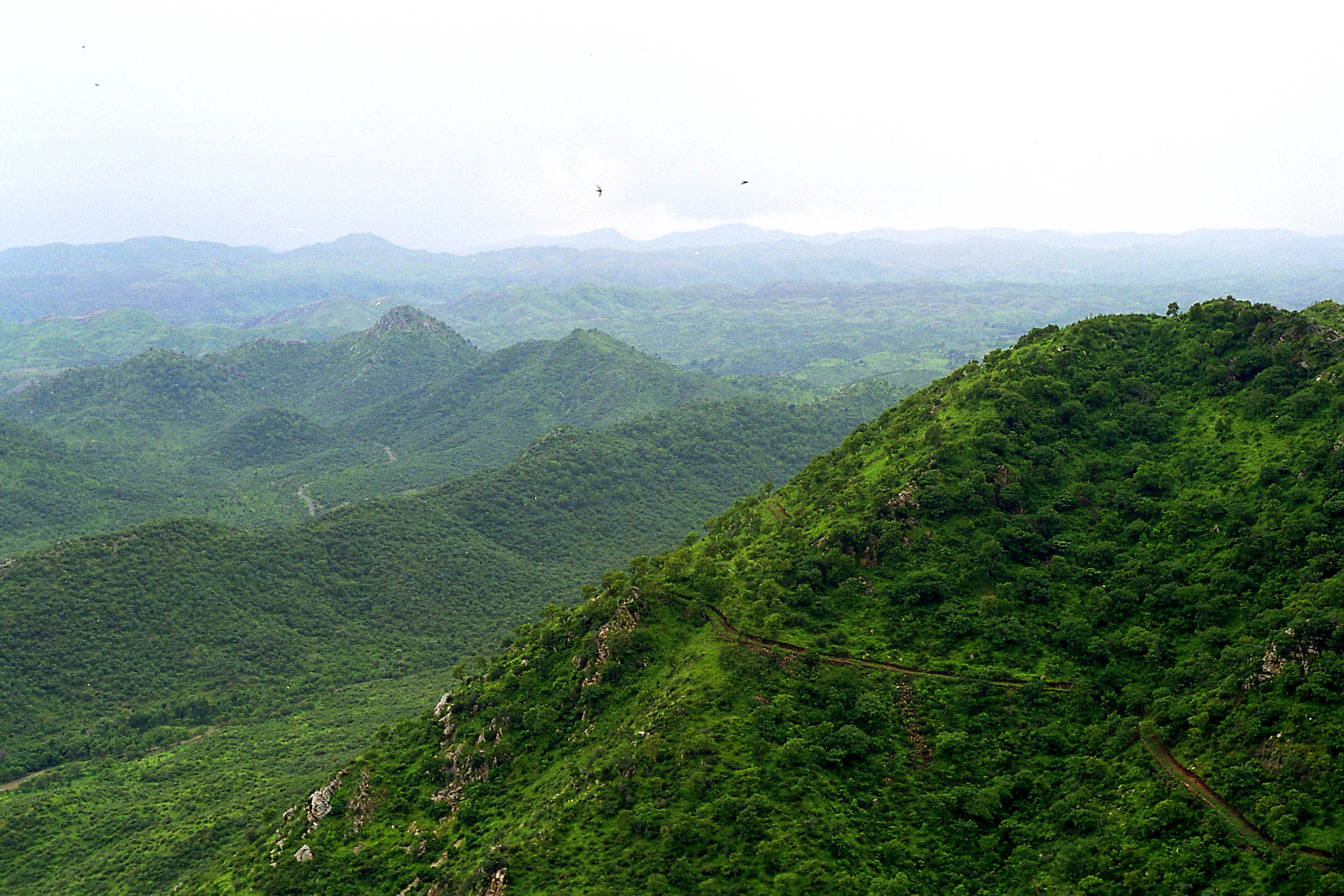 Rajasthan State Biodiversity Board